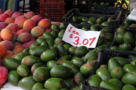 avocados-354061_640 edited